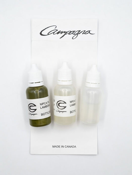 OEM Touch-Up Paint Kit